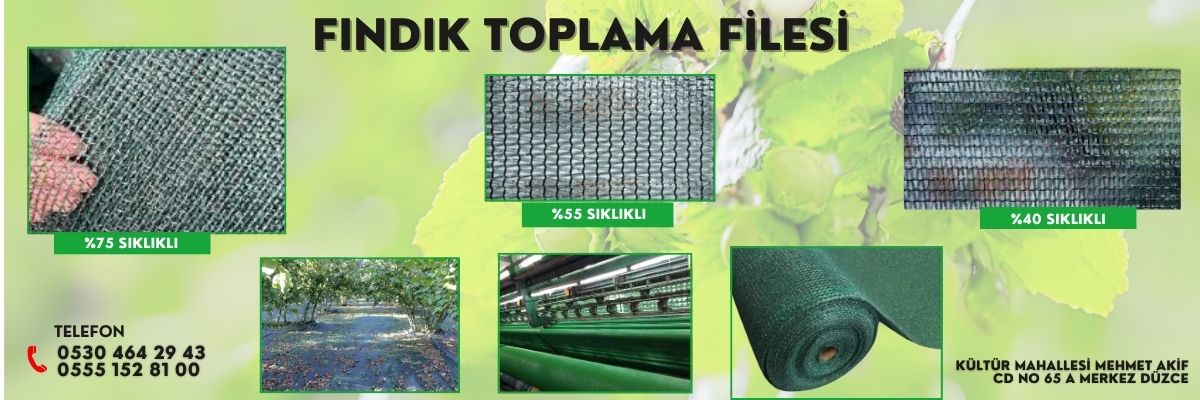 FINDIK TOPLAMA FİLESİ